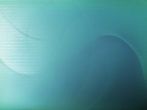 网站SEO优化排行推荐免费和付费工具的优劣分析